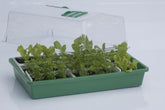 HGA Garden Propagator 43, hard plastic, unheated, 38x24x18 cm
